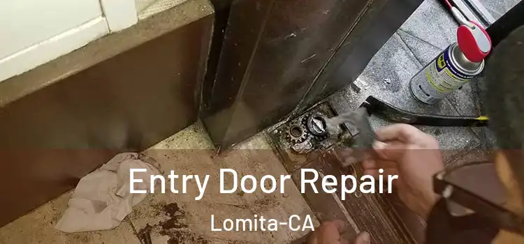  Entry Door Repair Lomita-CA