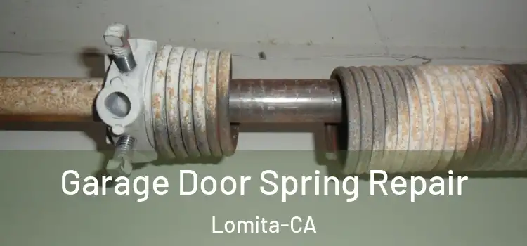  Garage Door Spring Repair Lomita-CA
