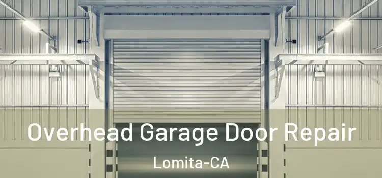  Overhead Garage Door Repair Lomita-CA