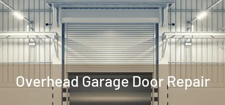  Overhead Garage Door Repair 